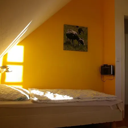 Lejlighed Treibgut & Surf