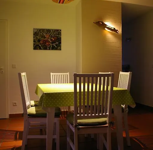 아파트 Treibgut & Surf *