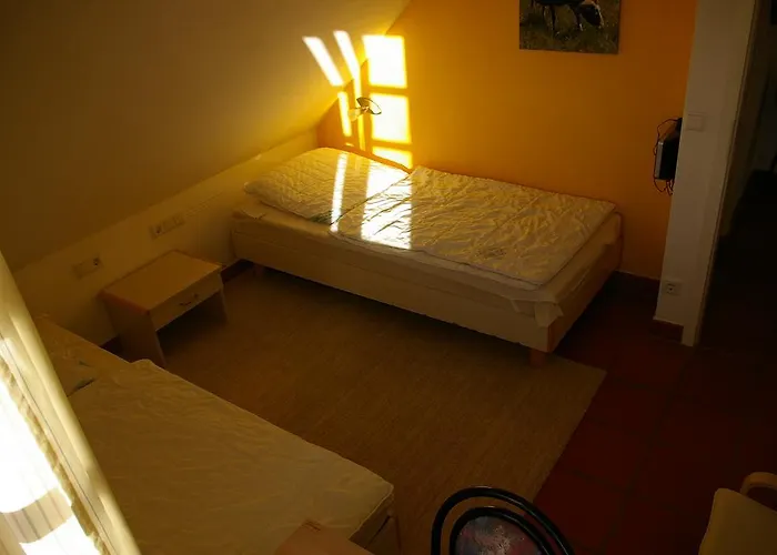 아파트 Treibgut & Surf 드란스케